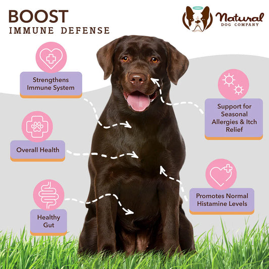 Natural Dog Company Aller-Immune