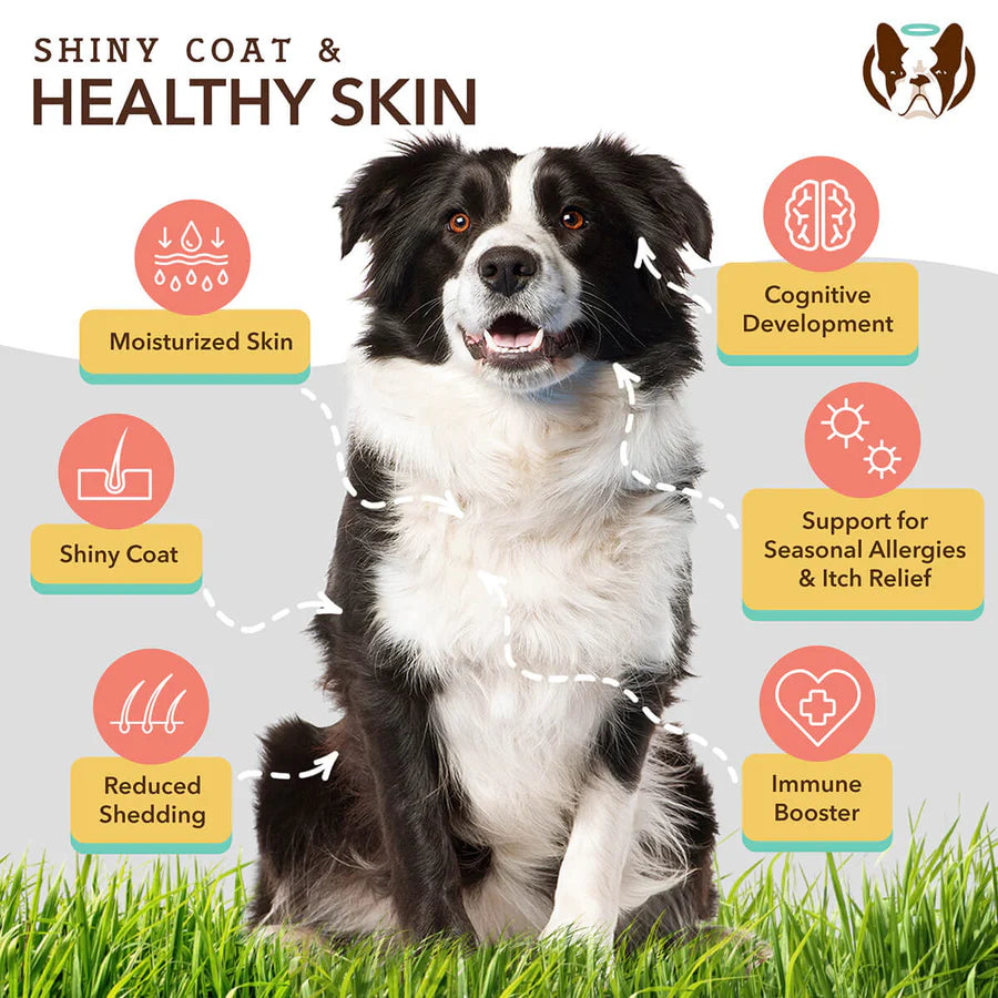 Natural Dog Company Skin and Coat