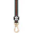Load image into Gallery viewer, Fresh Pawz G-Stripe Leash L