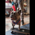 Load image into Gallery viewer, Santa Cruz Walk Set