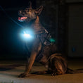 Load image into Gallery viewer, Lumi One LED Harness