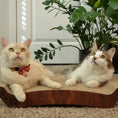 Load image into Gallery viewer, Comfort Reversible Cat Scratcher