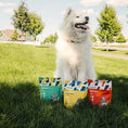 Load image into Gallery viewer, Freeze Dried Treats