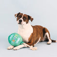 Load image into Gallery viewer, Pawty Time Balloon Toy