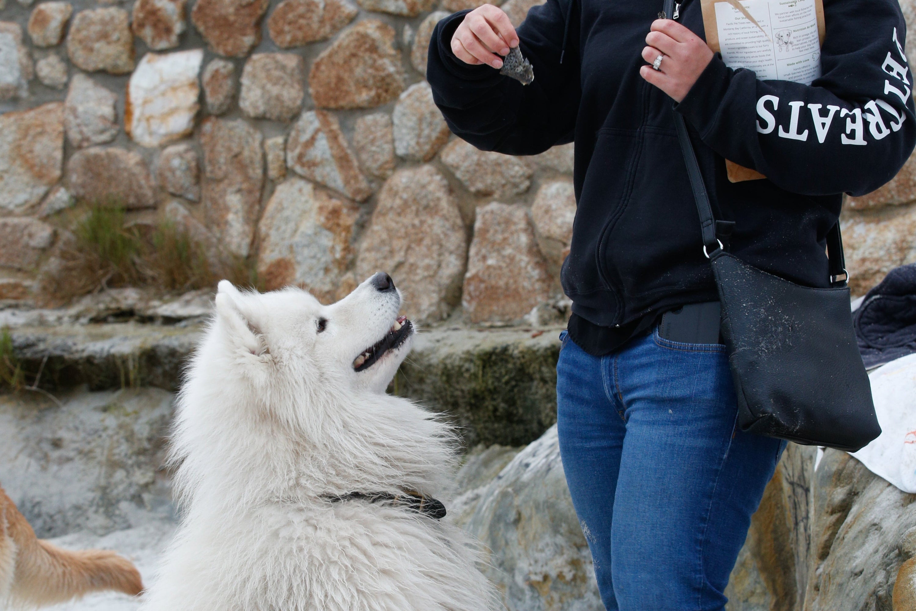 Woman with a black jacket and blue jeans standing next to a white dog in front of a stone wall.