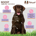 Load image into Gallery viewer, Natural Dog Company Aller-Immune
