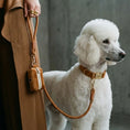 Load image into Gallery viewer, Caramel Velvet Walk Set
