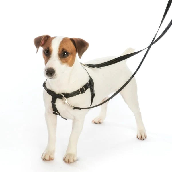 2 Hounds Design Freedom No-Pull Harness