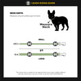 Load image into Gallery viewer, Fresh Pawz X Santa Cruz Leash
