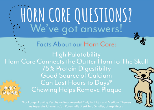 Buffalo Horn Core
