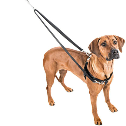 2 Hounds Design Freedom No-Pull Harness
