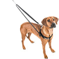 Load image into Gallery viewer, 2 Hounds Design Freedom No-Pull Harness
