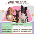 Load image into Gallery viewer, Natural Dog Company Aller-Immune

