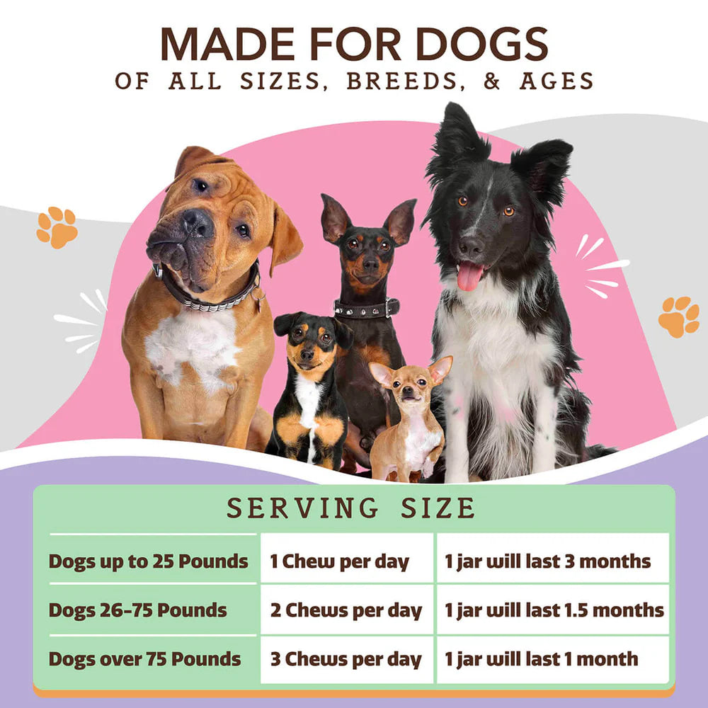 Natural Dog Company Aller-Immune