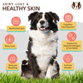 Load image into Gallery viewer, Natural Dog Company Skin and Coat
