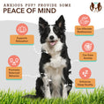 Load image into Gallery viewer, Natural Dog Company Calming Chews
