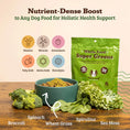 Load image into Gallery viewer, Natural Dog Company Super Greens Meal Topper
