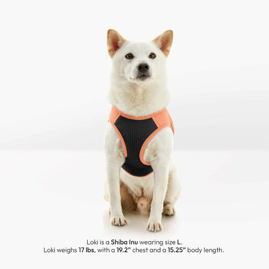 Escape Free Easy Fit Plus