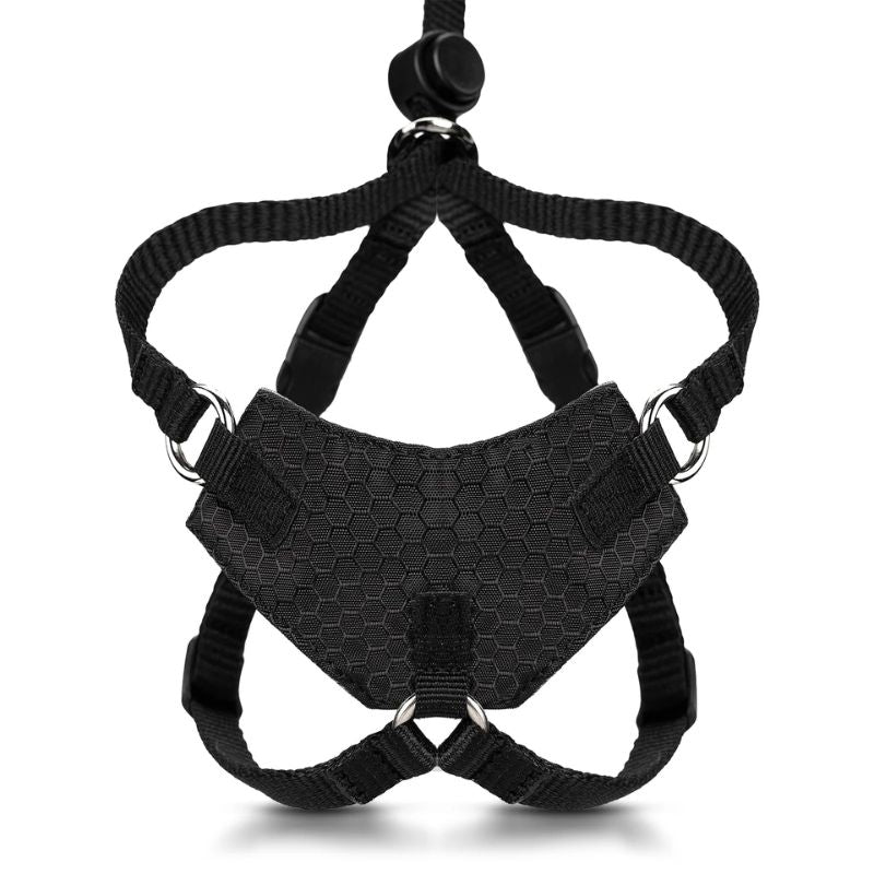 Escape Proof Cat Harness M-L