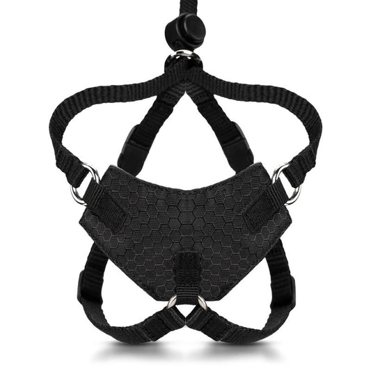 Escape Proof Cat Harness M-L