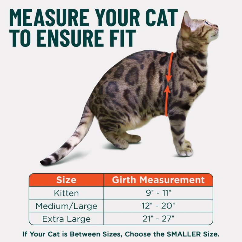 Escape Proof Cat Harness M-L