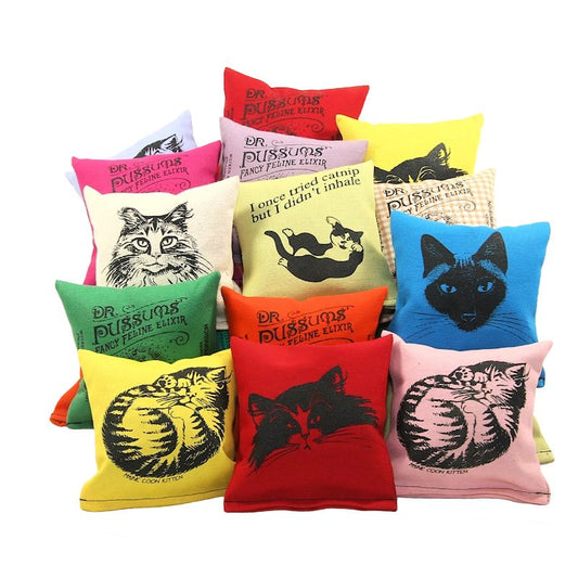 Dr. Pussums Pillows
