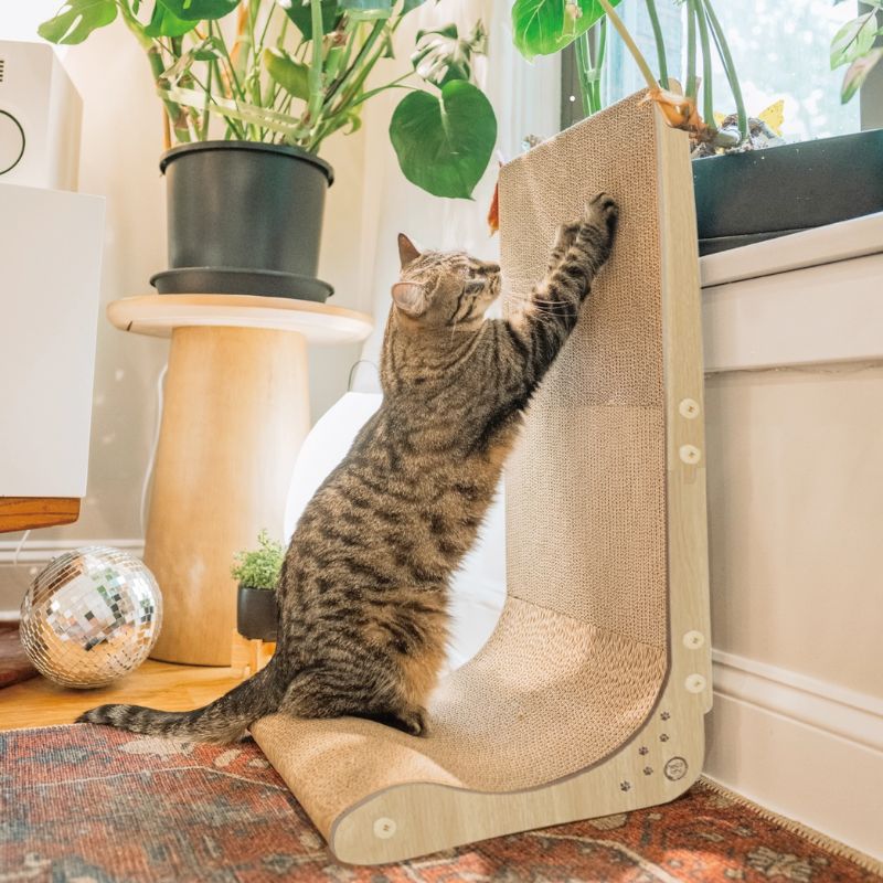 Cat using a beige L-shaped cat scratcher with plants and a window in the background.