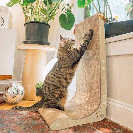Cat using a beige L-shaped cat scratcher with plants and a window in the background.