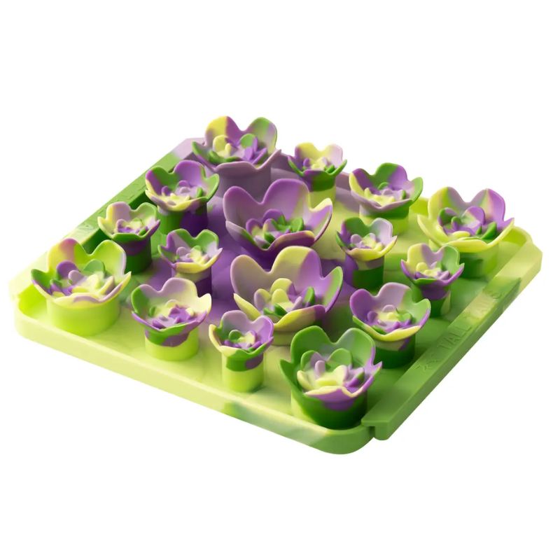 Enrichment Mat - Succulent Garden