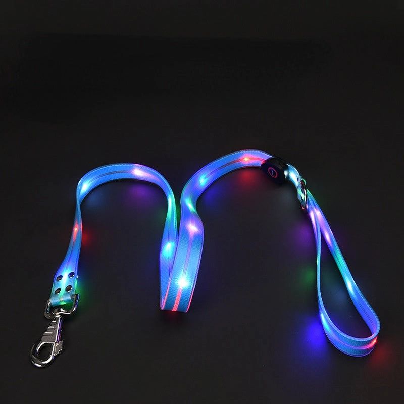 LED Leash