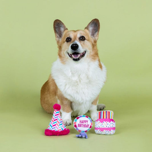 Mini Birthday Plushies Set