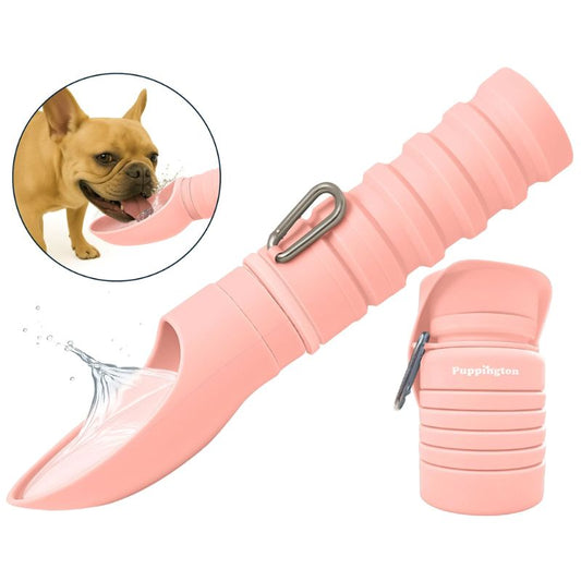 Collapsible Water Bottle