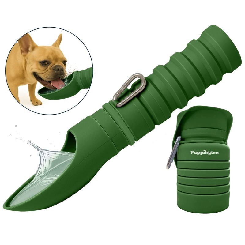 Collapsible Water Bottle