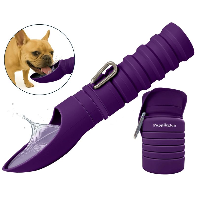 Collapsible Water Bottle