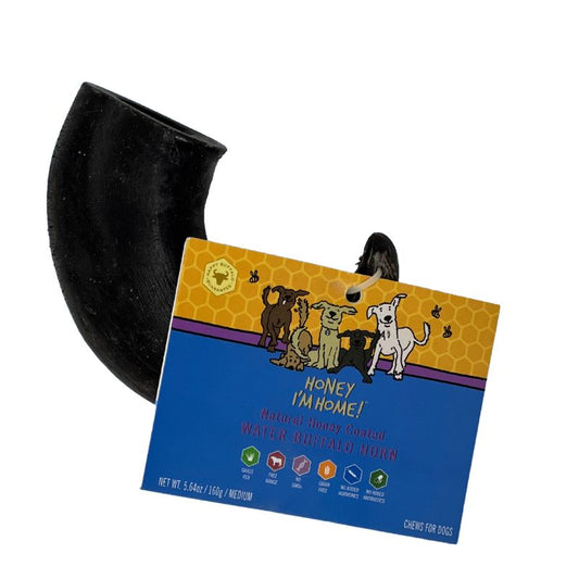Water Buffalo Horn