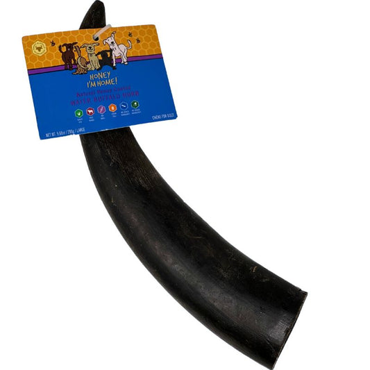 Water Buffalo Horn
