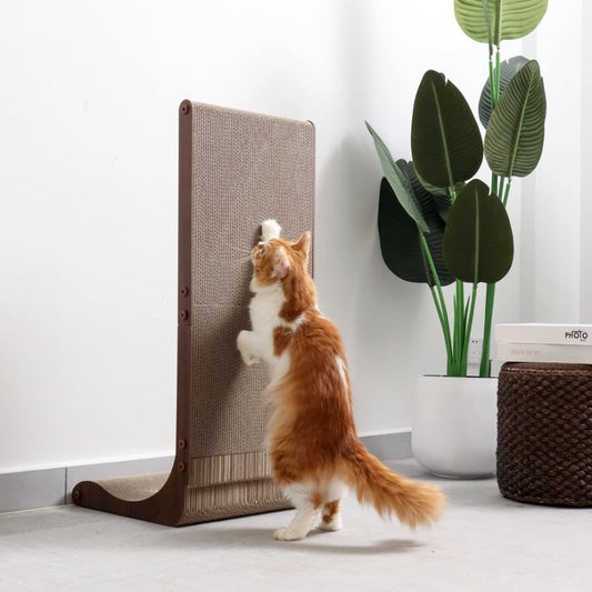 Cat interacting with a scratching post in a home setting with plants and furniture.