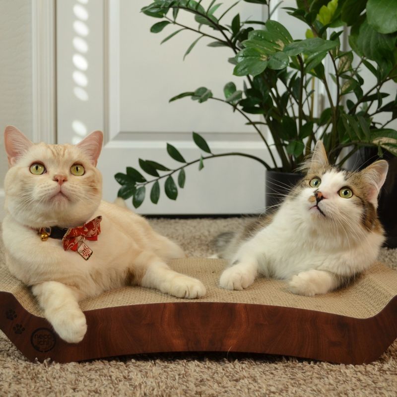 Comfort Reversible Cat Scratcher