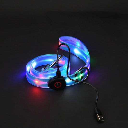 LED Leash