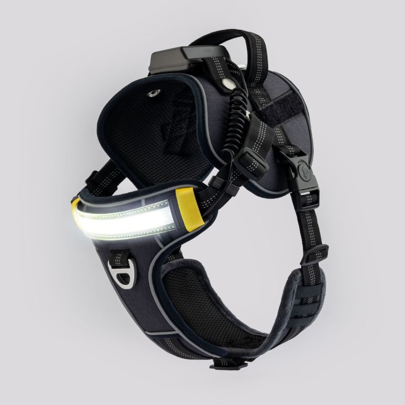 Lumi One LED  Harness