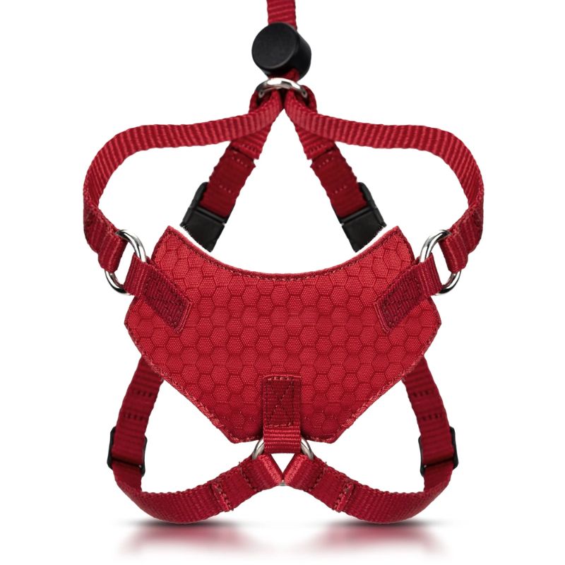 Escape Proof Cat Harness M-L