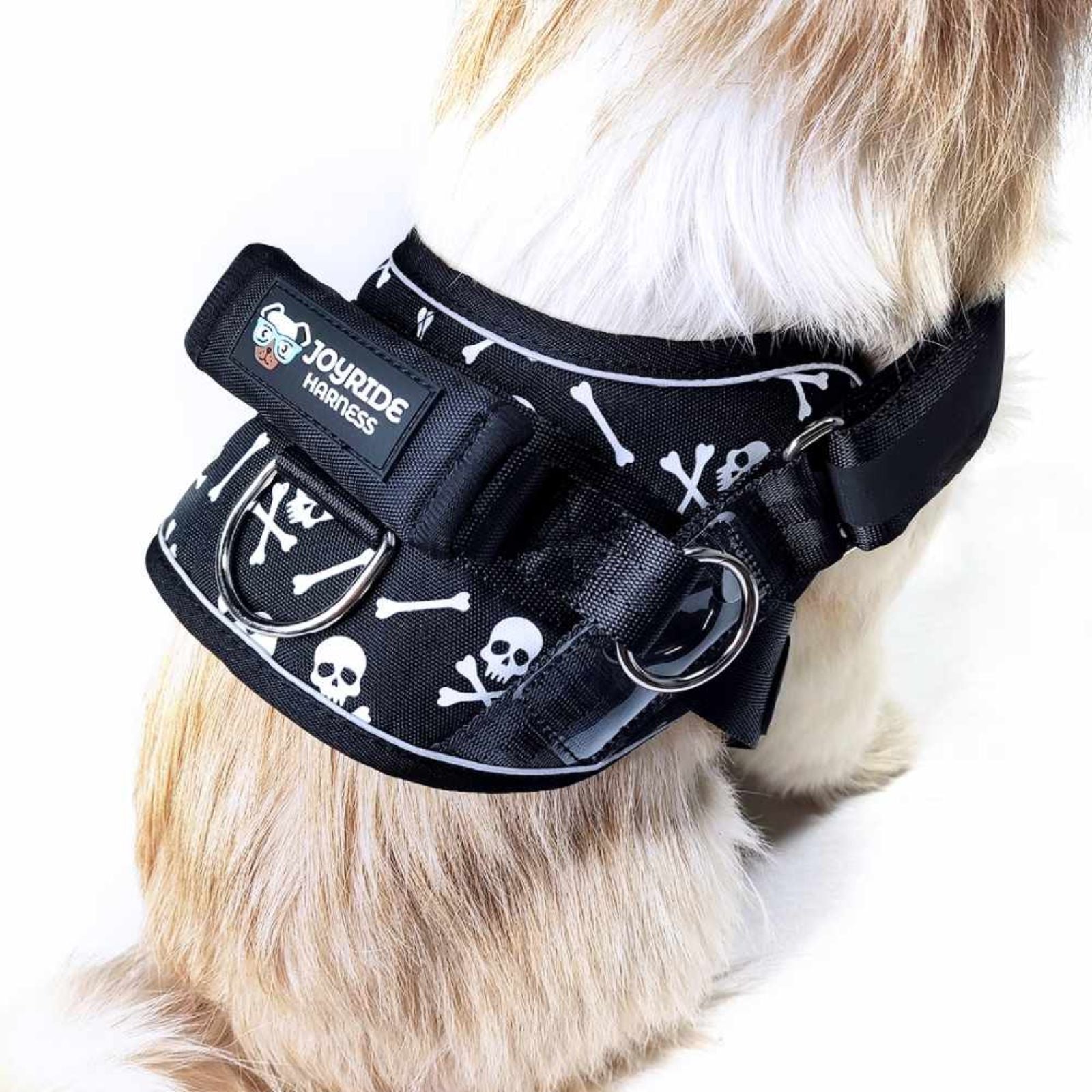 Joyride Harness 2.0