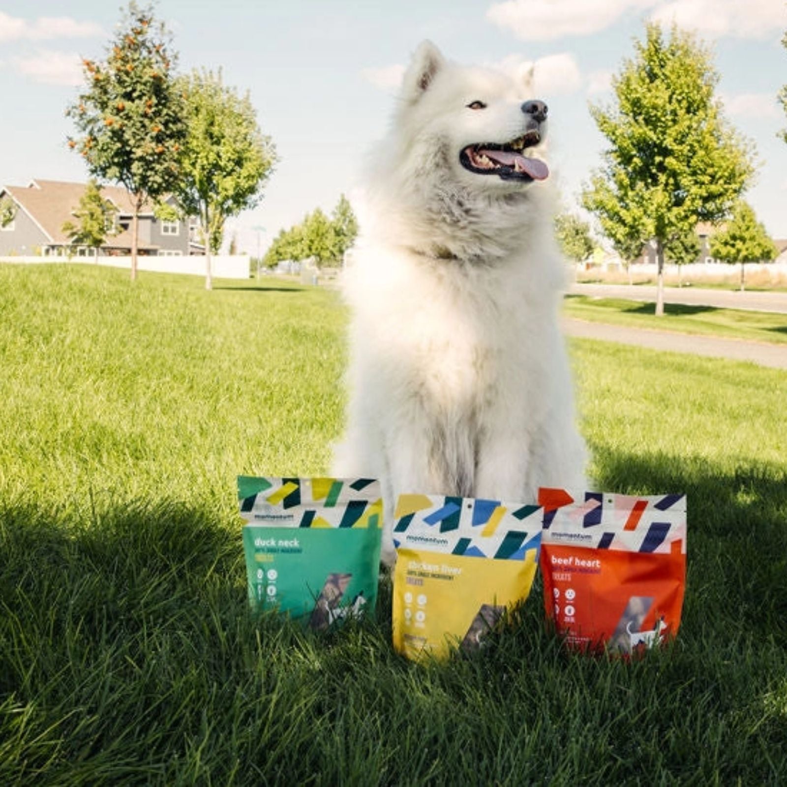 Freeze Dried Treats