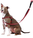 Load image into Gallery viewer, 2 Hounds Reflective Red No-Pull Freedom Harness
