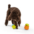 Load image into Gallery viewer, West Paw Toppl
