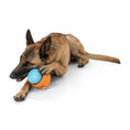 Load image into Gallery viewer, West Paw Toppl
