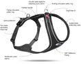 Load image into Gallery viewer, Curli Belka Comfort Harness
