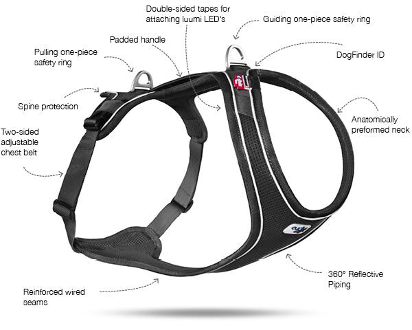 Curli Belka Comfort Harness