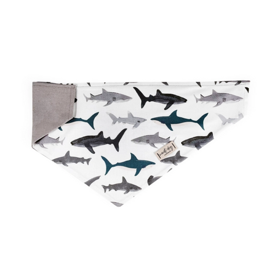 Shark Collar Cover