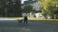 Load and play video in Gallery viewer, Curli Belka Comfort Harness
